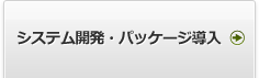 システム開発・業務支援パッケージ開発